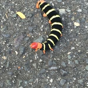 ❤️ Posh Ambassador ❤️